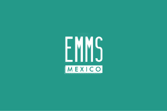 EMMS 2011